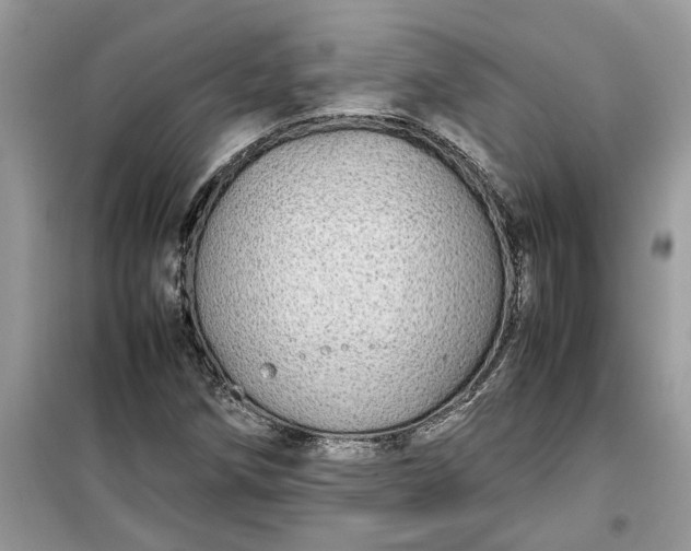 X0000099491258200805291059