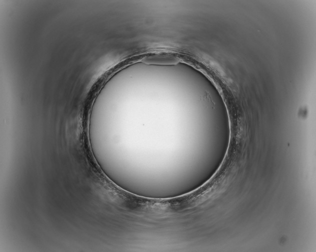 X0000099491261200805291059