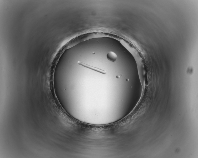 X0000099491264200805291059