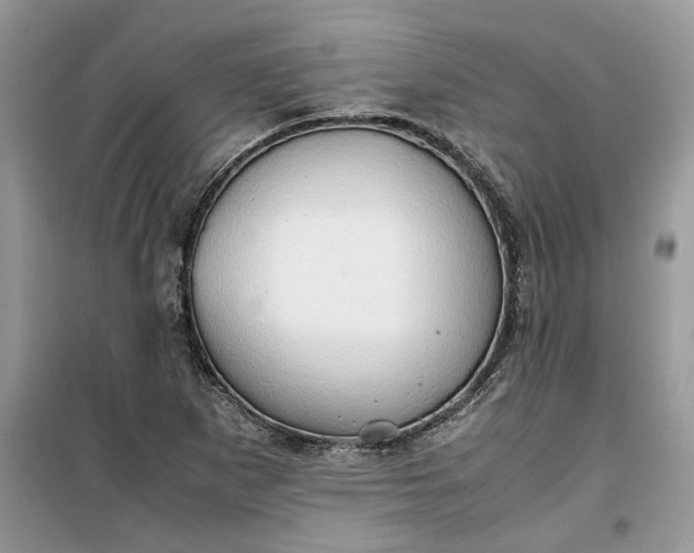 X0000099491265200805291059