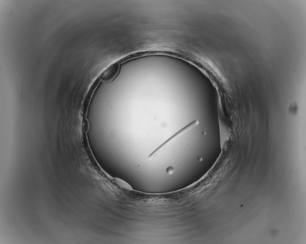 X0000099491268200805291059