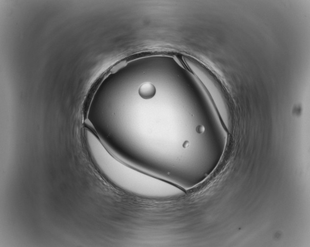 X0000099491269200805291059