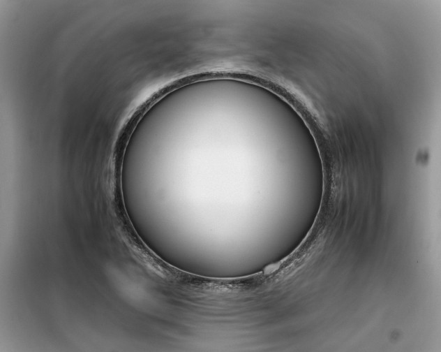 X0000099491270200805291059