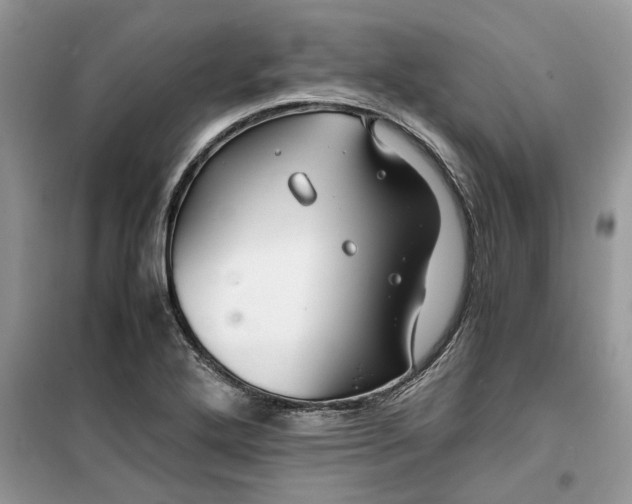 X0000099491272200805291059