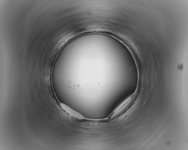 X0000099491273200805291059