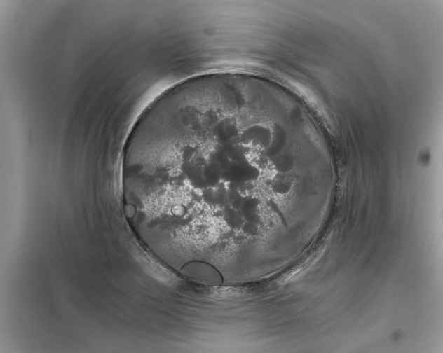 X0000099491275200805291059