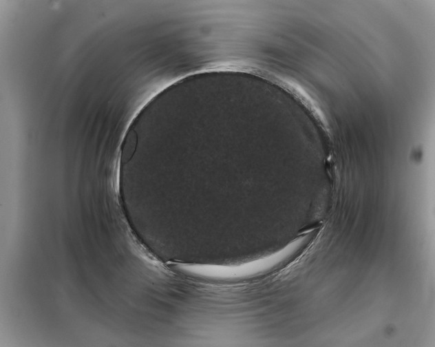 X0000099491276200805291059