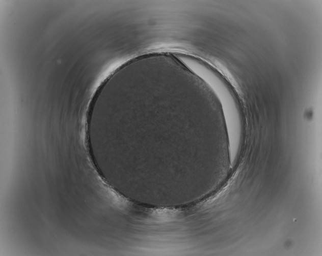 X0000099491277200805291059