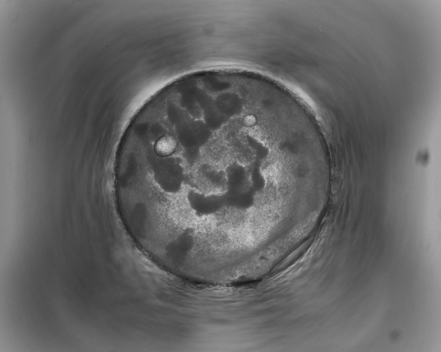 X0000099491279200805291059