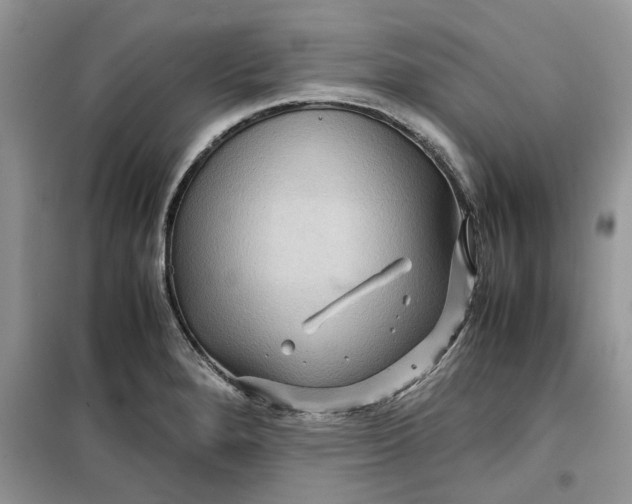 X0000099491280200805291059