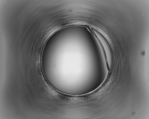 X0000099491281200805291059