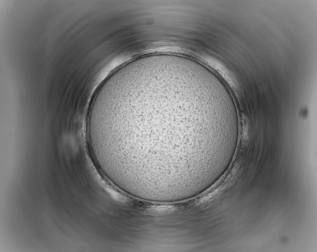 X0000099491282200805291059