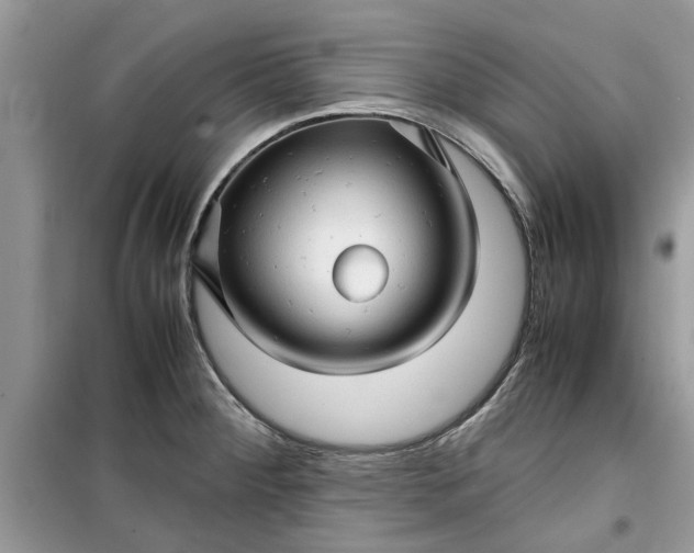 X0000099491284200805291059