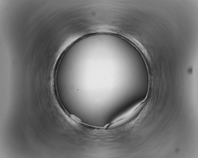 X0000099491285200805291059