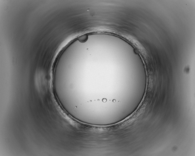 X0000099491286200805291059