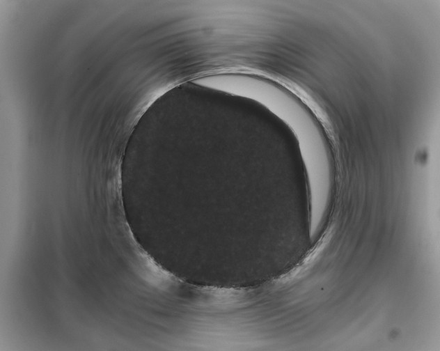 X0000099491289200805291059