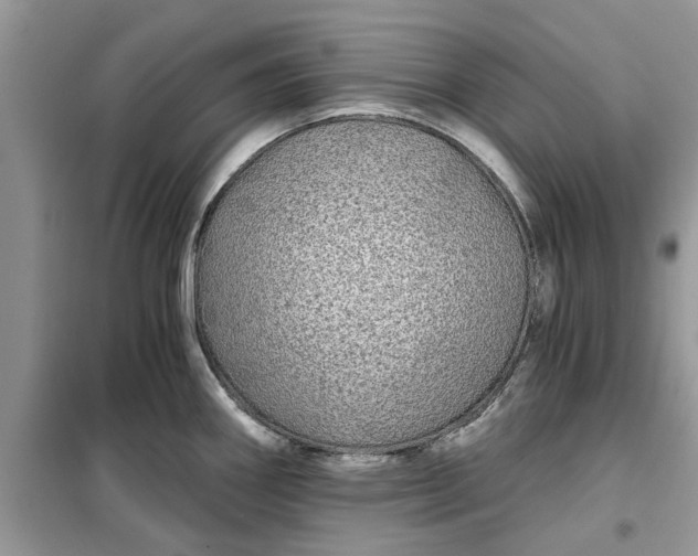 X0000099491290200805291059