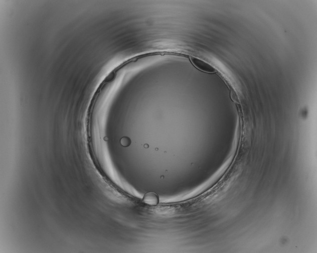 X0000099491291200805291059