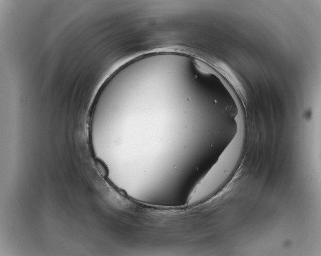 X0000099491292200805291059