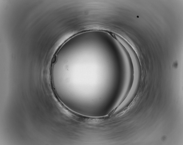 X0000099491293200805291059