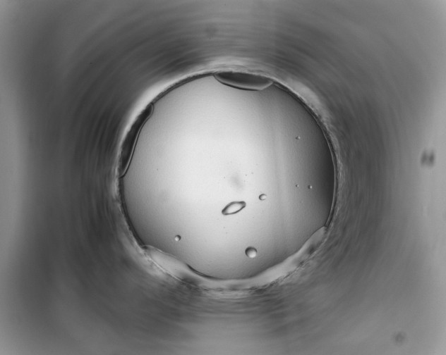 X0000099491296200805291059