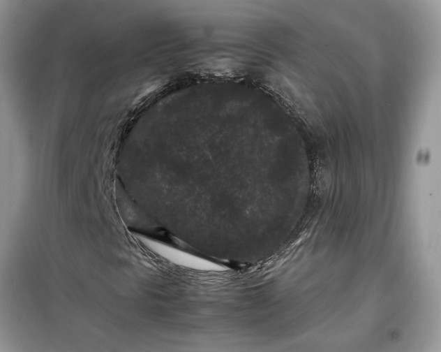 X0000099491297200805291058