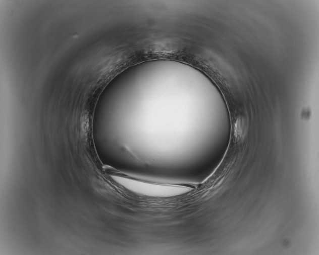 X0000099491299200805291058