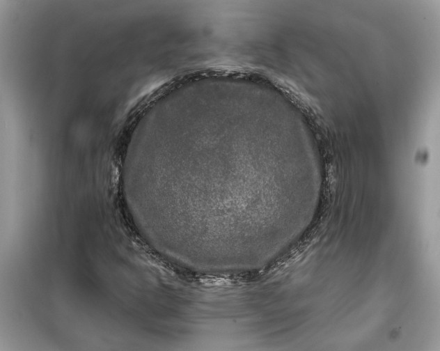 X0000099491302200805291058