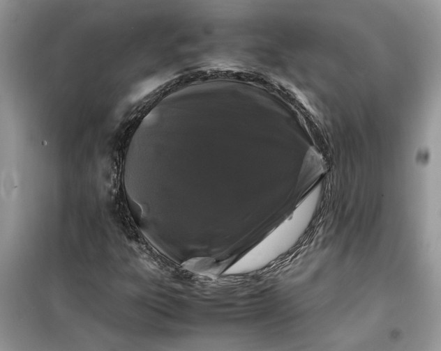 X0000099491303200805291058