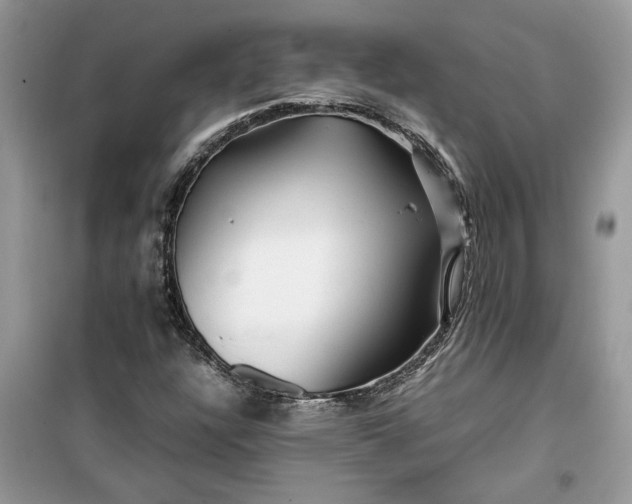 X0000099491304200805291058