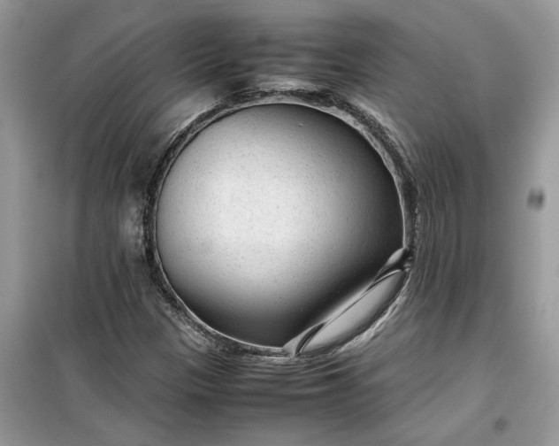 X0000099491305200805291058