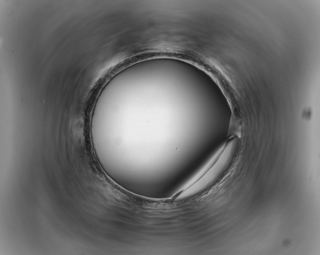 X0000099491307200805291058