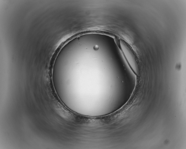 X0000099491308200805291058