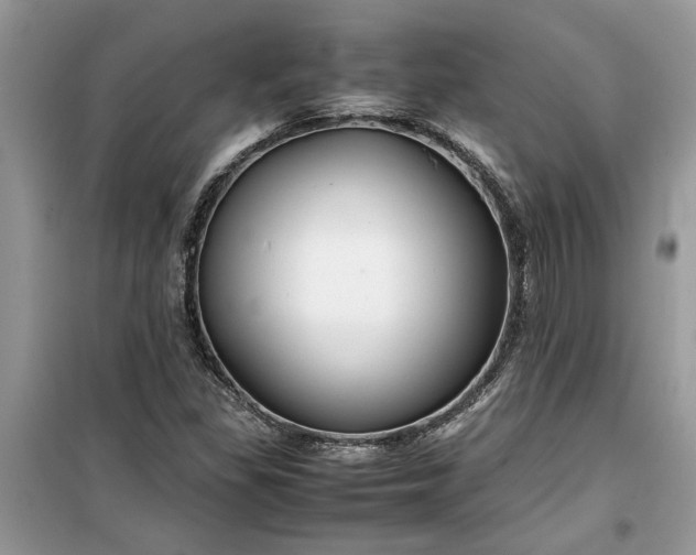 X0000099491309200805291058