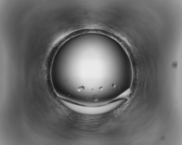 X0000099491311200805291058