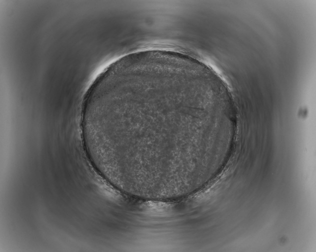 X0000099491312200805291058