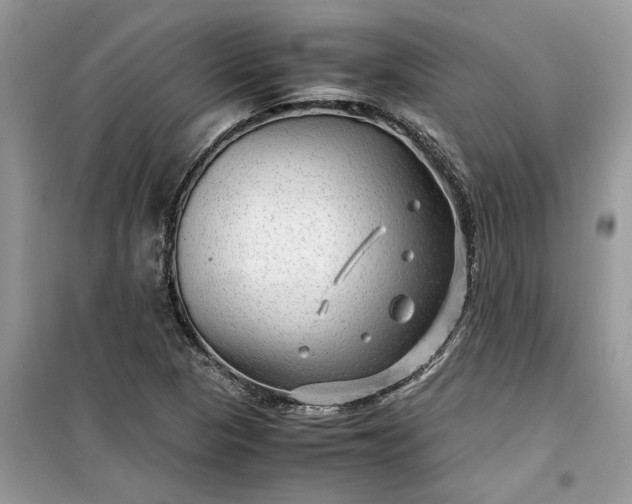 X0000099491313200805291058