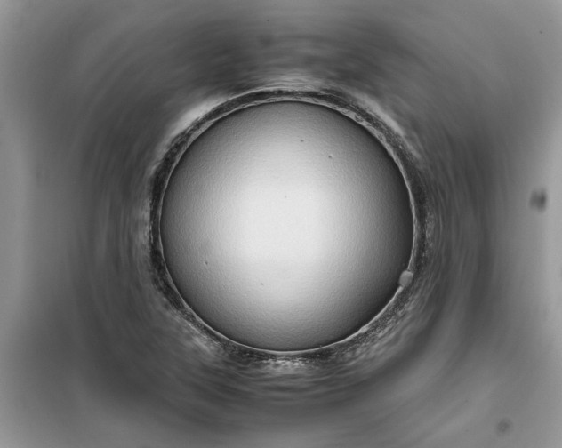 X0000099491315200805291058