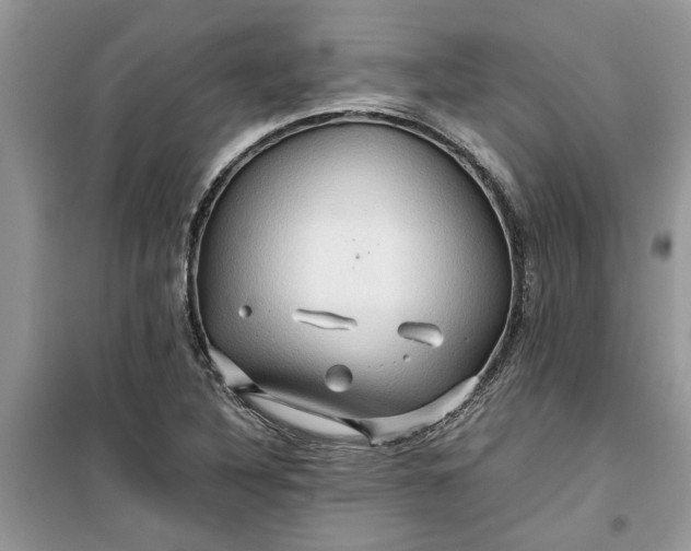 X0000099491316200805291058