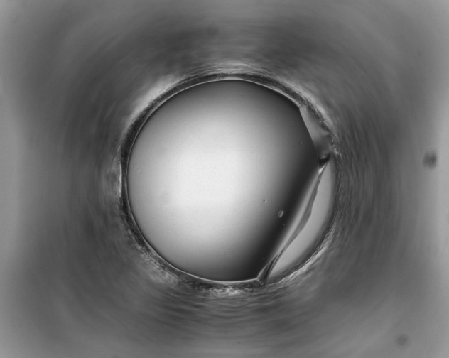 X0000099491317200805291058