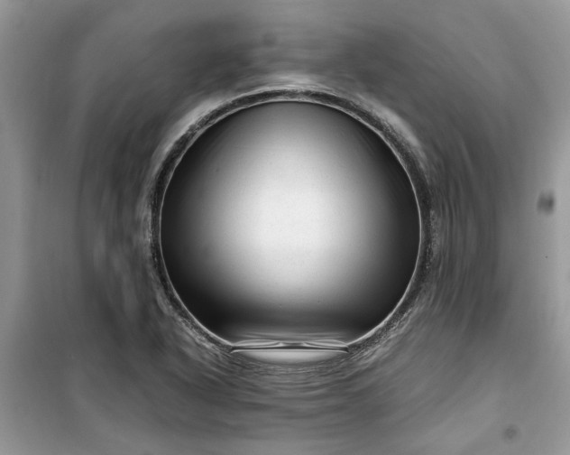 X0000099491318200805291058