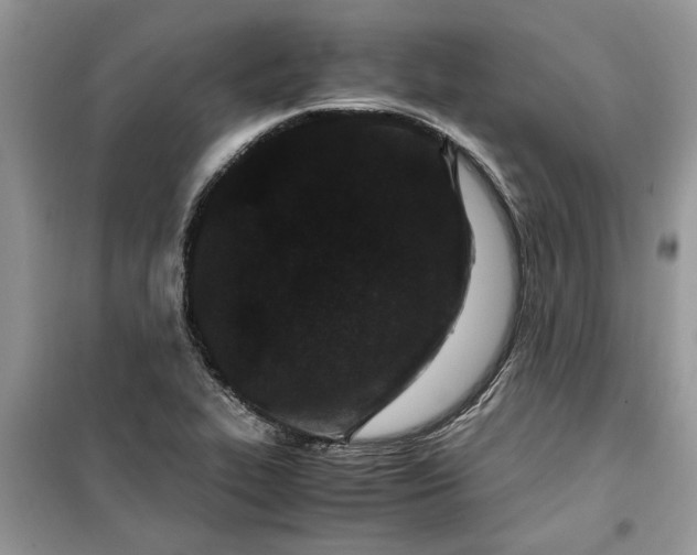 X0000099491319200805291058