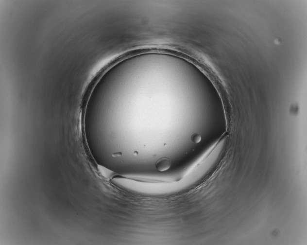 X0000099491320200805291058