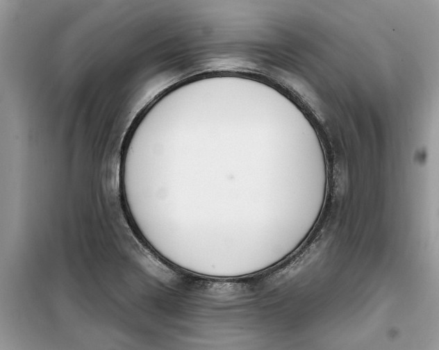 X0000099491322200805291058