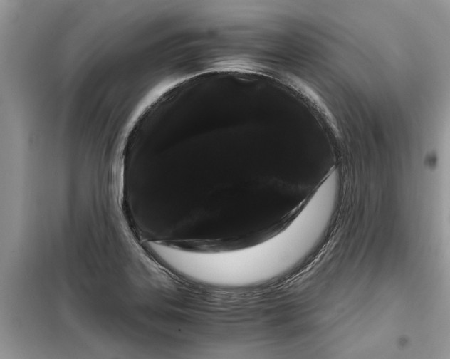 X0000099491323200805291058