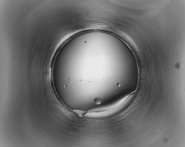 X0000099491324200805291058