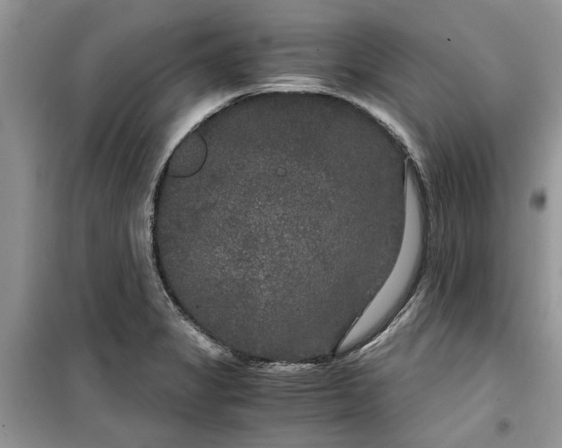 X0000099491325200805291058