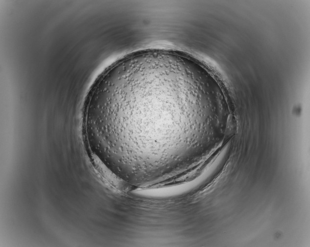 X0000099491326200805291058