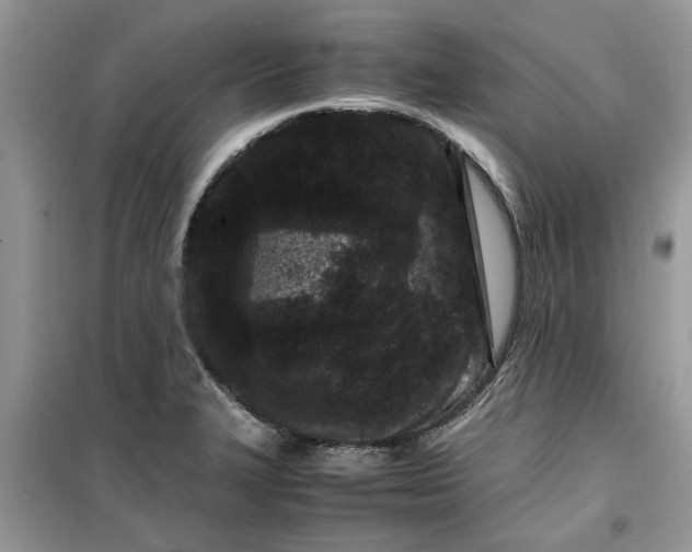 X0000099491327200805291058