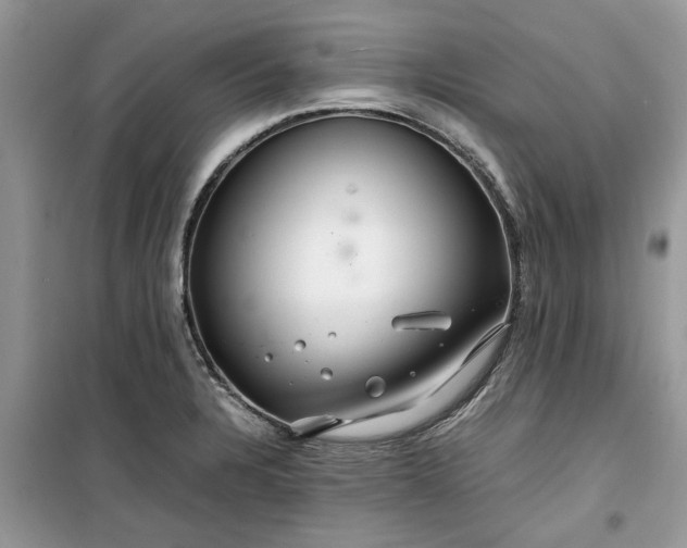 X0000099491328200805291058